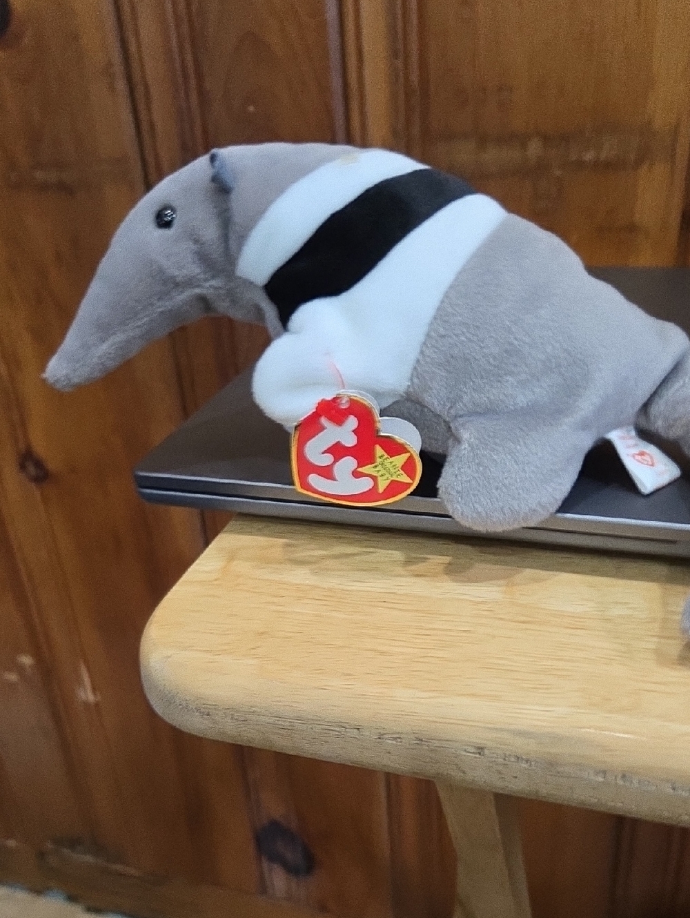 Ty Anteater Plush in Gray, White & Black
